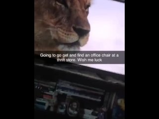 Gay Chub Finds Office Chair  ATROPHYBODY