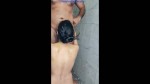 Playlist Thumb 186706172-1