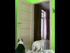TikTok What The Fluff Challenge goes wrong