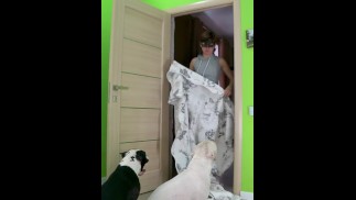 TikTok Что пошло не так в The Fluff Challenge