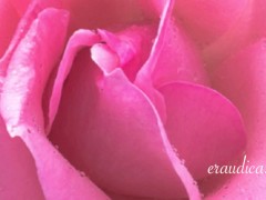 You Blossom - Erotic Freeverse - Erotic Audio Performed by Eve's Garden