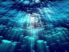 Ask Eve - What the Hell is a Period?- Advice Series by Eve's Garden female anatomyeducational