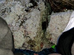 Peeing outside on the frozen grass