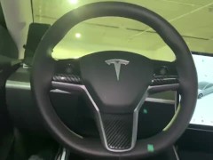 Tesla supercharging jerk off