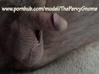small dick, verified amateurs, exclusive, shrink