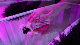Playtime's Plaything - HD ТРЕЙЛЕР
