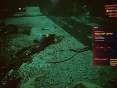 Exploring through Cyberpunk 2077 Part 23 Dating Rogue 13/16