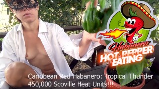 Carribean Red Habanero Hot Pepper eten