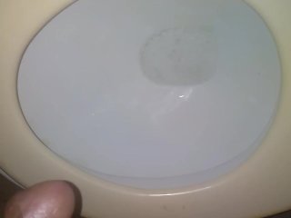 Pissing in the toilet / Meandro en el excusado.