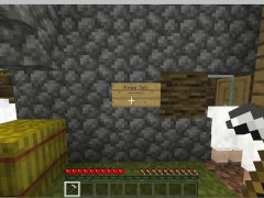 Getting Fucked by a Creeper in Minecraft 3: Free Sex