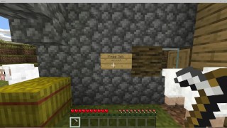 Getting Fucked By A Creeper In Minecraft 3 Is A Free Sex Video