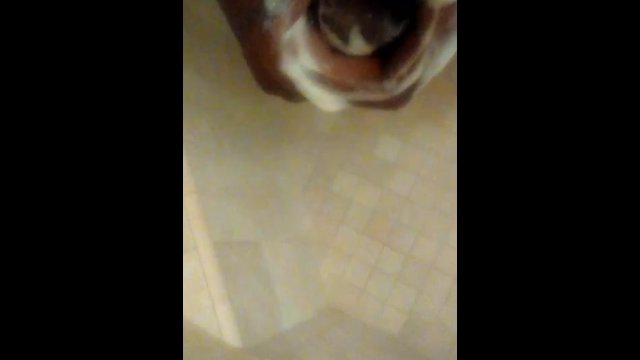 Back at it shower BBC milking