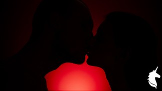 FORMATION DE LA SAINT-VALENTIN S LA SAINT-VALENTIN!