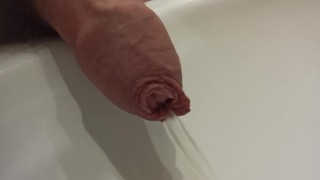 Close-Up Of A Morning Long Foreskin Pee