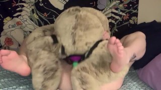 Getting Fucked By My Teddy Bear OF Preview