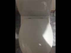 Flushing A Toilet (Portrait)