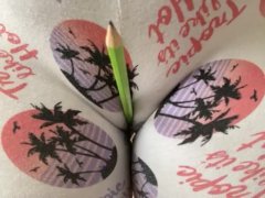 Pencils at the office 