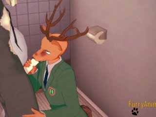 Furry Yaoi Compilation