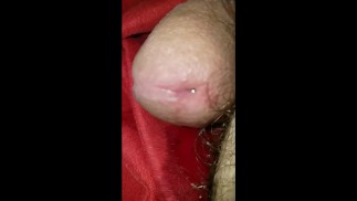 渗出边缘的公鸡射击特写