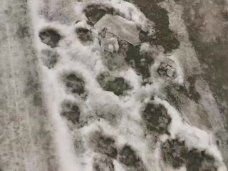 Sucking a Dildo Around the Apartment Building and Outside in The Snow in_Bikini