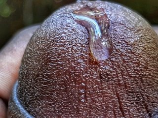 forest masturbation, nature, big wet dick, huge creamy cumshot