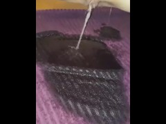 Couldn't help it HAD TO PEE on carpet