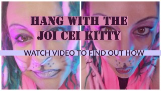 Hang with the JOI CEI Kitty
