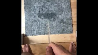 PISSING ON A RUG/CARPET BUT GOT TOO EXCITED AND PISSED EVERYWHERE. MULTIPLE ANGLES