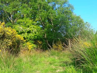 big dick twink Jerking and cumming in a field