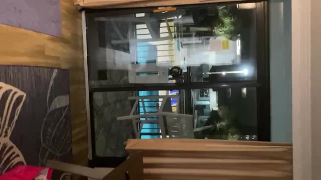 «Он ненавидит, как мой парень изменяет с соседским хулиганом
