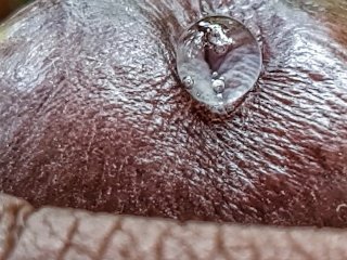 loud moaning, oddly satisfying, exclusive, dripping precum