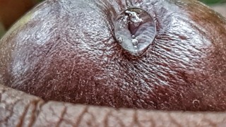 I had to Cut the Music just so you Hear the way I Moan- (Extreme Close Up Precum Play)