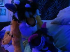 Gay Male Furry Wolf Porn - Gay Furry Wolf Videos and Gay Porn Movies :: PornMD