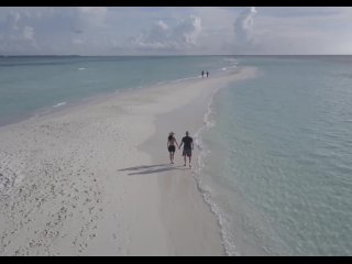 paid_VS:true_2021/03/18 12:31