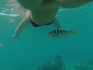 amateur, solo female, public pussy flash, nude snorkeling