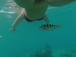 Snorkeling En Arrecife