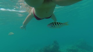 Snorkeling en arrecife