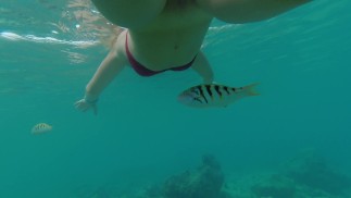 Snorkeling in reef