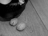 You drive me nut - nuts crushed under high heels pump shoes