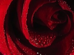 The Smallest Moment - Erotic Freeverse - Erotic Audio by Eve's Garden