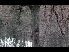 Taking a piss in wv Woods almost got caught by The Neighbors