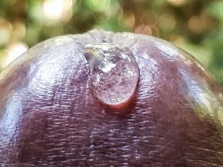 oddly satisfying, forest masturbation, thick dripping cum, big dick