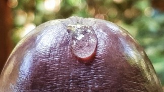 Here is an Extreme Close up Satisfying Precum Play to get you  (Loud Moaning Cumshot)