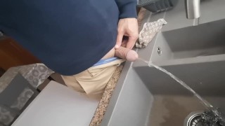 Shit Into The Sink In My Kitchen