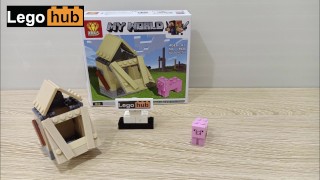 Vlog 19 A Lego Minecraft Pig And Its Cute Little House