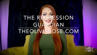 The Regression Guardian Free Preview