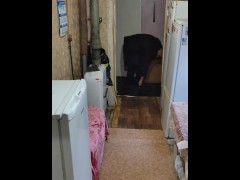 For some reason it is difficult to wake up today