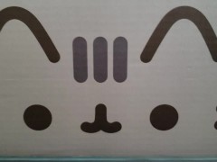 asdasdad