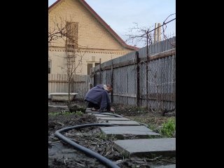 Vegetable garden in order