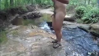未切割的同性恋公鸡在树林里赤身裸体地走来走去